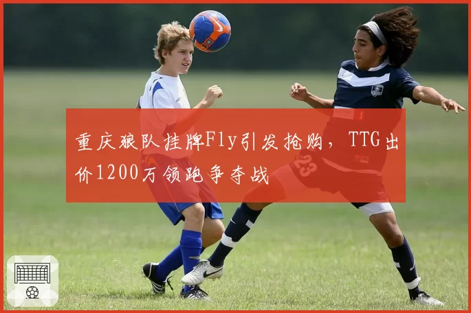 重庆狼队挂牌Fly引发抢购,TTG出价1200万领跑争夺战