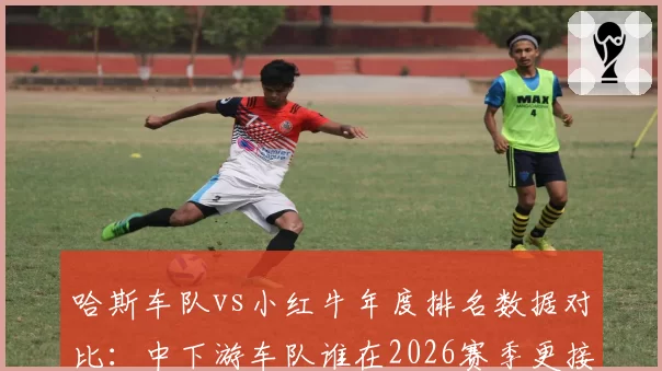 哈斯车队vs小红牛年度排名数据对比：中下游车队谁在2026赛季更接近突破