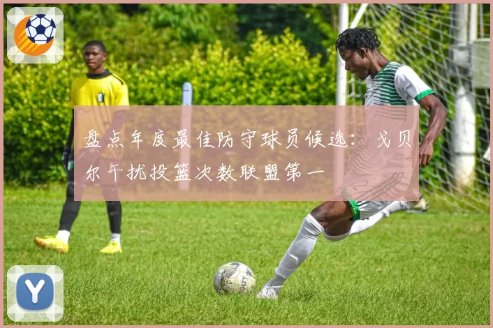 盘点年度最佳防守球员候选：戈贝尔干扰投篮次数联盟第一