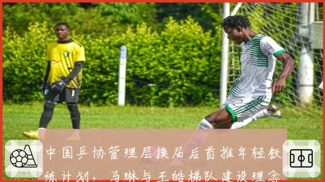 中国乒协管理层换届后首推年轻教练计划，马琳与王皓梯队建设理念分歧公开化