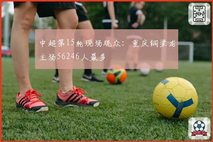 中超第15轮现场观众:重庆铜梁龙主场56246人最多