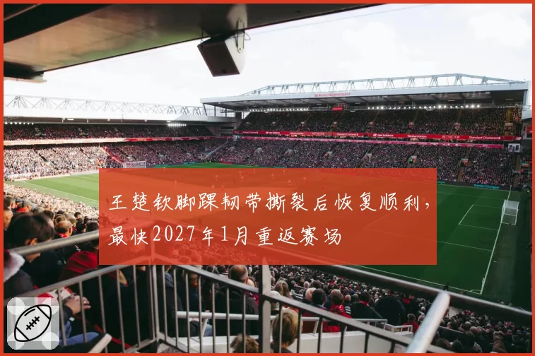王楚钦脚踝韧带撕裂后恢复顺利，最快2027年1月重返赛场