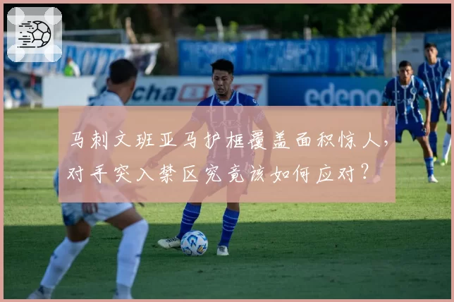 马刺文班亚马护框覆盖面积惊人,对手突入禁区究竟该如何应对?