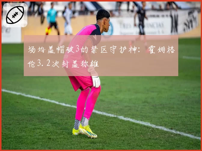 场均盖帽破3的禁区守护神：霍姆格伦3.2次封盖称雄